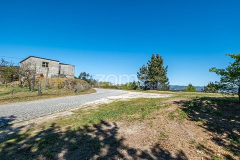 Farm i Paredes, Porto, Paredes - € 299.000 | Ref: ZMPT587872 - foto 17