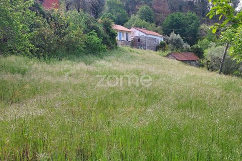 Helårsgrund i Amarante, Porto, Amarante - € 98.000 | Ref: ZMPT587861 - foto 5