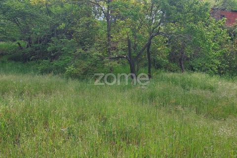 Helårsgrund i Amarante, Porto, Amarante - € 98.000 | Ref: ZMPT587861 - foto 6