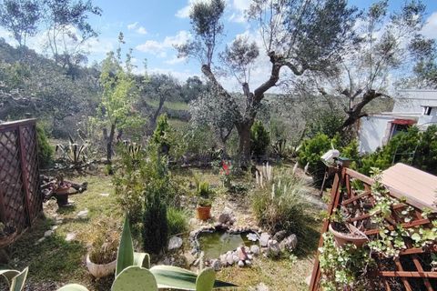 Landejendom i Ostuni, Brindisi, Ostuni - € 220.000 | Ref: 173027 - foto 14