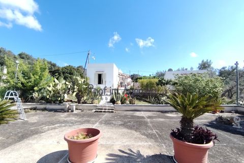 Landejendom i Ostuni, Brindisi, Ostuni - € 220.000 | Ref: 173027 - foto 20