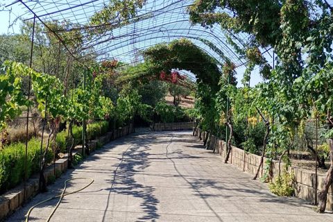 Villa a Leonforte, Enna, Leonforte - € 300.000 | Ref: 86439684 - foto 22