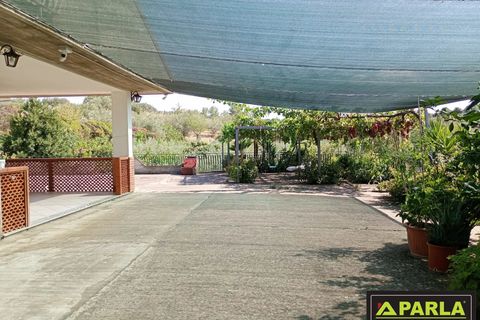 Villa a Leonforte, Enna, Leonforte - € 300.000 | Ref: 86439684 - foto 24
