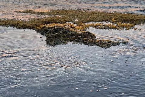 Villa i Noto, Siracusa, Noto - € 450.000 | Ref: 86510885 - foto 27