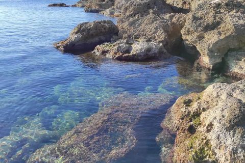 Villa i Noto, Siracusa, Noto - € 450.000 | Ref: 86510885 - foto 28