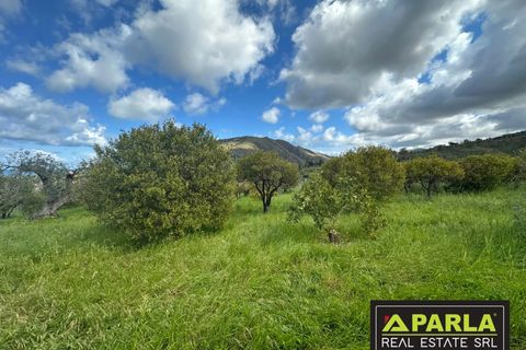 Villa a Lascari, Palermo, Lascari - € 490.000 | Ref: 86602353 - foto 10