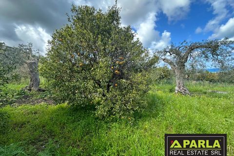 Villa a Lascari, Palermo, Lascari - € 490.000 | Ref: 86602353 - foto 12