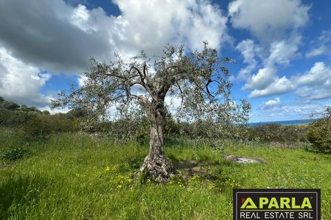 Villa a Lascari, Palermo, Lascari - € 490.000 | Ref: 86602353 - foto 13