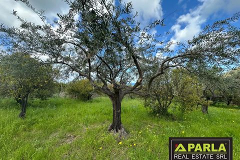 Villa a Lascari, Palermo, Lascari - € 490.000 | Ref: 86602353 - foto 16