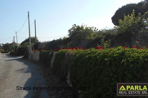 Villa i Modica, Ragusa, Modica - € 490.000 | Ref: 86648696 - foto 12
