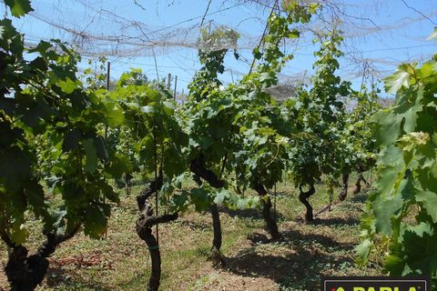 Villa i Modica, Ragusa, Modica - € 490.000 | Ref: 86648696 - foto 24