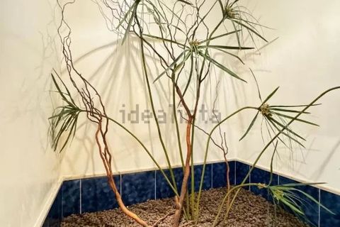Villa i Avola, Siracusa, Avola - € 680.000 | Ref: 86385870 - foto 26