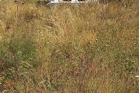 Leilighet i Messina, Messina, Messina - € 2 700 000 | Ref: 86508877 - foto 15