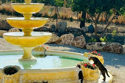Villa i Avola, Siracusa, Avola - € 3.000.000 | Ref: 86390408 - foto 2