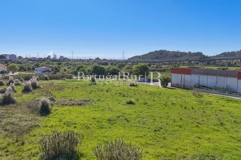 Terra a Carregado, Lisbon, Carregado - € 4.200.000 | Ref: CV687 - foto 8