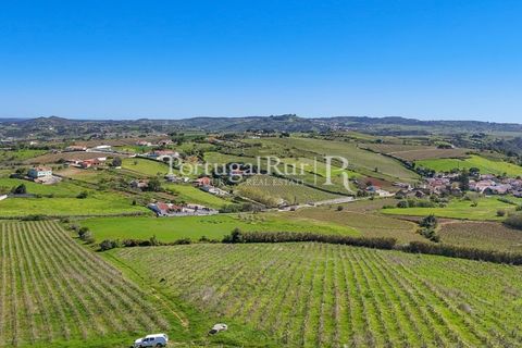 Farm i Alenquer, Lisbon, Alenquer - € 600.000 | Ref: CV690 - foto 1