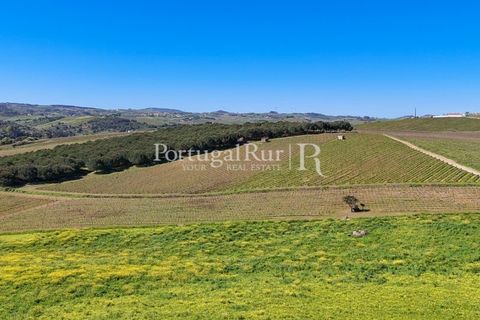 Farm i Alenquer, Lisbon, Alenquer - € 600.000 | Ref: CV690 - foto 3