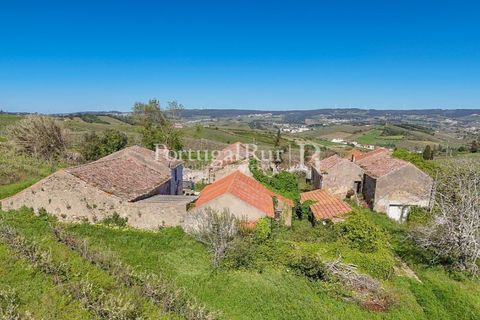 Farm i Alenquer, Lisbon, Alenquer - € 600.000 | Ref: CV690 - foto 4