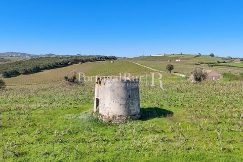 Farm i Alenquer, Lisbon, Alenquer - € 600.000 | Ref: CV690 - foto 5