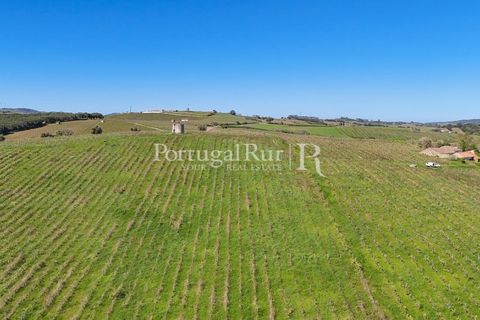 Farm i Alenquer, Lisbon, Alenquer - € 600.000 | Ref: CV690 - foto 6