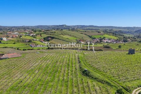 Farm i Alenquer, Lisbon, Alenquer - € 600.000 | Ref: CV690 - foto 7