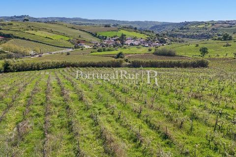 Farm i Alenquer, Lisbon, Alenquer - € 600.000 | Ref: CV690 - foto 8