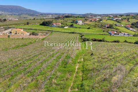 Farm i Alenquer, Lisbon, Alenquer - € 600.000 | Ref: CV690 - foto 9
