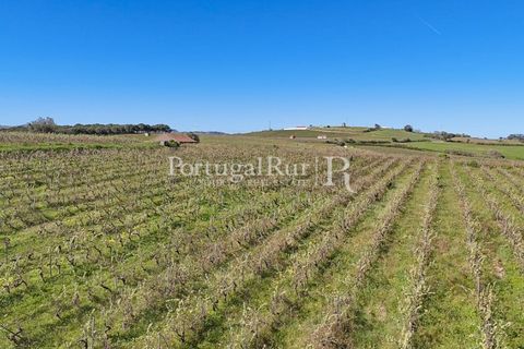 Farm i Alenquer, Lisbon, Alenquer - € 600.000 | Ref: CV690 - foto 10