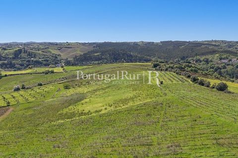 Farm i Alenquer, Lisbon, Alenquer - € 600.000 | Ref: CV690 - foto 11