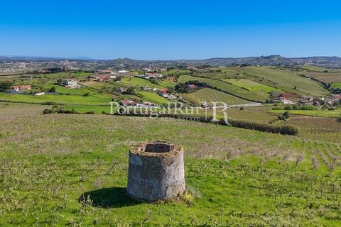 Farm i Alenquer, Lisbon, Alenquer - € 600.000 | Ref: CV690 - foto 12