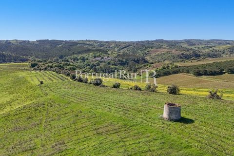 Farm i Alenquer, Lisbon, Alenquer - € 600.000 | Ref: CV690 - foto 13