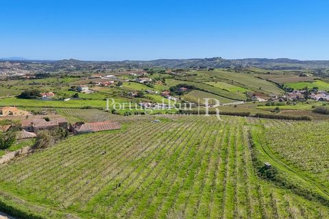 Farm i Alenquer, Lisbon, Alenquer - € 600.000 | Ref: CV690 - foto 15