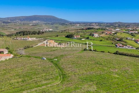 Farm i Alenquer, Lisbon, Alenquer - € 600.000 | Ref: CV690 - foto 16
