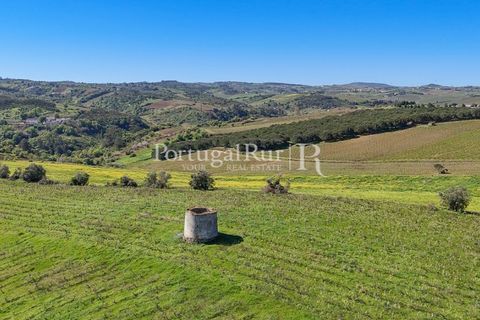 Farm i Alenquer, Lisbon, Alenquer - € 600.000 | Ref: CV690 - foto 17