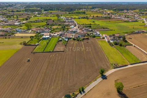 Helårsgrund i Estarreja, Aveiro, Estarreja - € 72.500 | Ref: C0471-00476 - foto 7