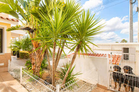 Villa i Seixal, Setubal, Seixal - € 1.100.000 | Ref: C0364-05812 - foto 35