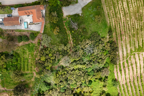 Helårsgrund i Cadaval, Lisbon, Cadaval - € 75.000 | Ref: C0364-05819 - foto 9