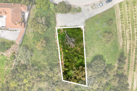 Helårsgrund i Cadaval, Lisbon, Cadaval - € 75.000 | Ref: C0364-05819 - foto 10