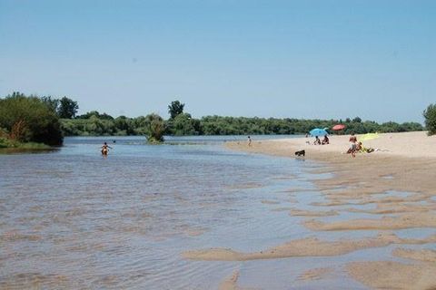 Helårsgrund i Alpiarca, Santarem, Alpiarca - € 165.000 | Ref: C0364-05833 - foto 4