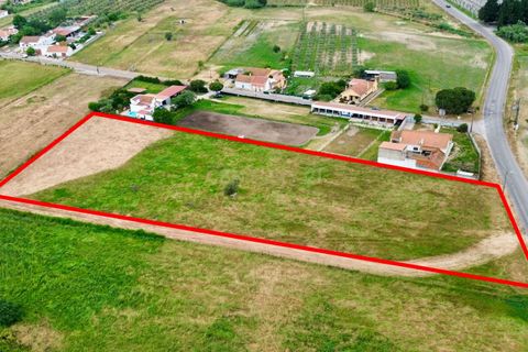 Helårsgrund i Alpiarca, Santarem, Alpiarca - € 165.000 | Ref: C0364-05833 - foto 7