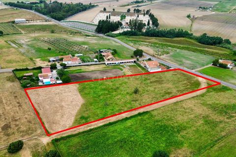 Helårsgrund i Alpiarca, Santarem, Alpiarca - € 165.000 | Ref: C0364-05833 - foto 8