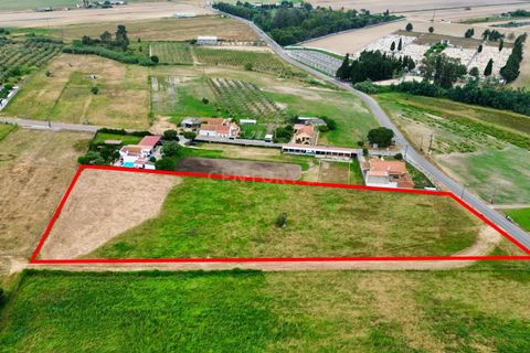 Helårsgrund i Alpiarca, Santarem, Alpiarca - € 165.000 | Ref: C0364-05833 - foto 9