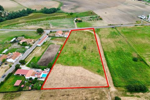 Helårsgrund i Alpiarca, Santarem, Alpiarca - € 165.000 | Ref: C0364-05833 - foto 10