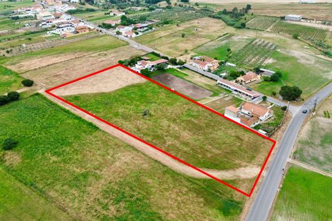 Helårsgrund i Alpiarca, Santarem, Alpiarca - € 165.000 | Ref: C0364-05833 - foto 11