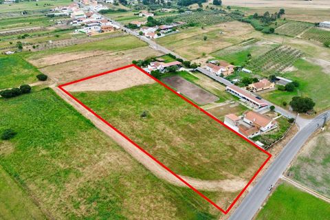 Helårsgrund i Alpiarca, Santarem, Alpiarca - € 165.000 | Ref: C0364-05833 - foto 12