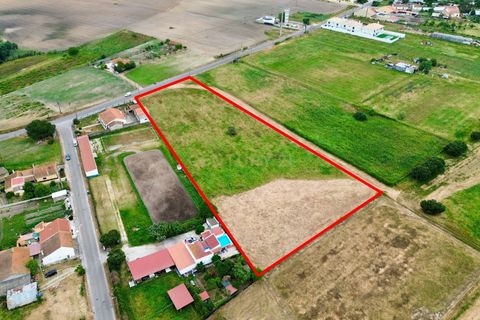 Helårsgrund i Alpiarca, Santarem, Alpiarca - € 165.000 | Ref: C0364-05833 - foto 13