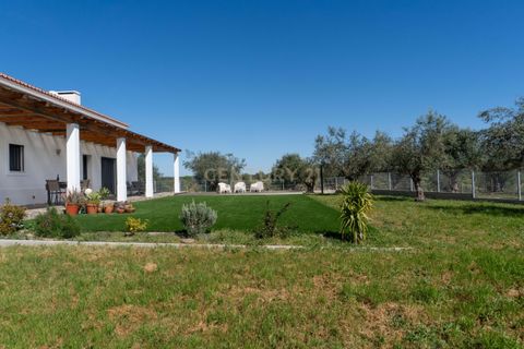 Villa a Alandroal, Evora, Alandroal - € 560.000 | Ref: C0364-05711 - foto 9