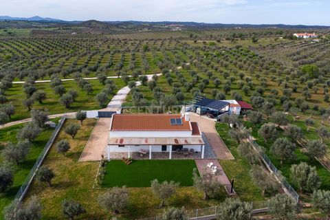 Villa a Alandroal, Evora, Alandroal - € 560.000 | Ref: C0364-05711 - foto 13