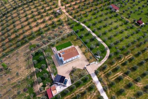 Villa a Alandroal, Evora, Alandroal - € 560.000 | Ref: C0364-05711 - foto 14