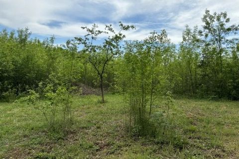 Terra a Sardan, Gard, Sardan - € 104.640 | Ref: 0204-AS - foto 7